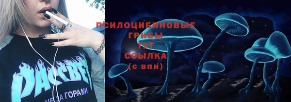 прущая мука Армянск