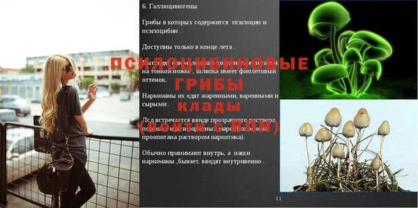 герыч Гусиноозёрск