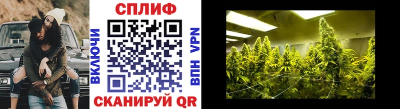 Шишки марихуана THC 21%  купить закладку  Фатеж 